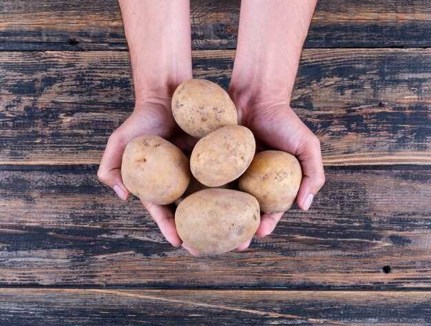 Картофель - источник полезных веществ