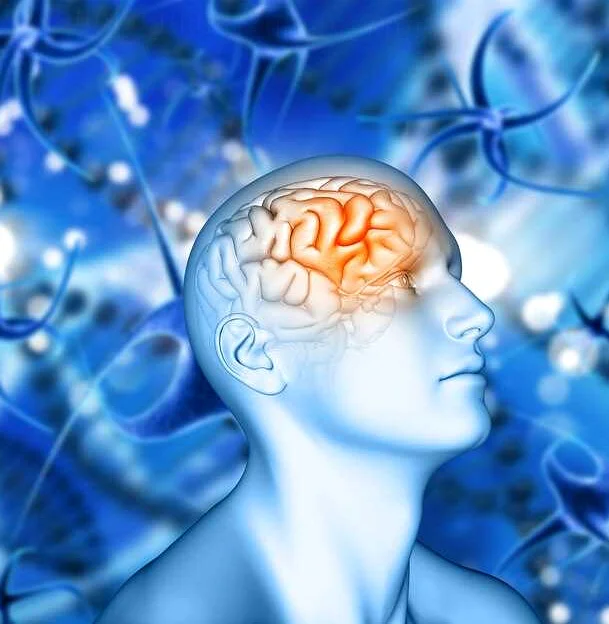 3. Какие симптомы могут указывать на проблемы с сосудами головного мозга?