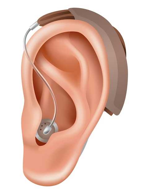 Клиническая анатомия ушей