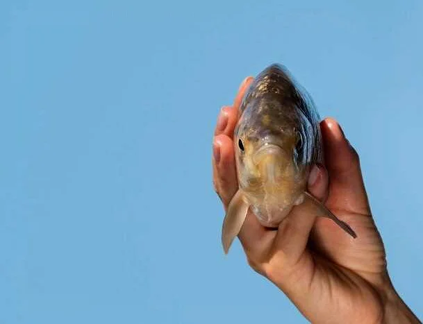 Как избежать проблем с рыбьей костью в подушечке пальца